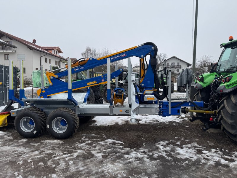 Rückewagen & Rückeanhänger типа Binderberger RW 12 Alpin, Neumaschine в Au (Фотография 1)