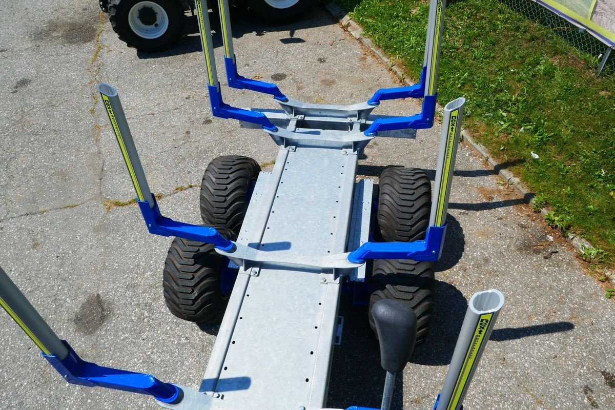 Rückewagen & Rückeanhänger typu Binderberger RW 14+ Penz Z6, Gebrauchtmaschine v Villach (Obrázek 8)