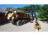 Rückewagen & Rückeanhänger des Typs BMF 10 tons skovvogn med 7,2 m kran, Gebrauchtmaschine in Fredericia (Bild 3)
