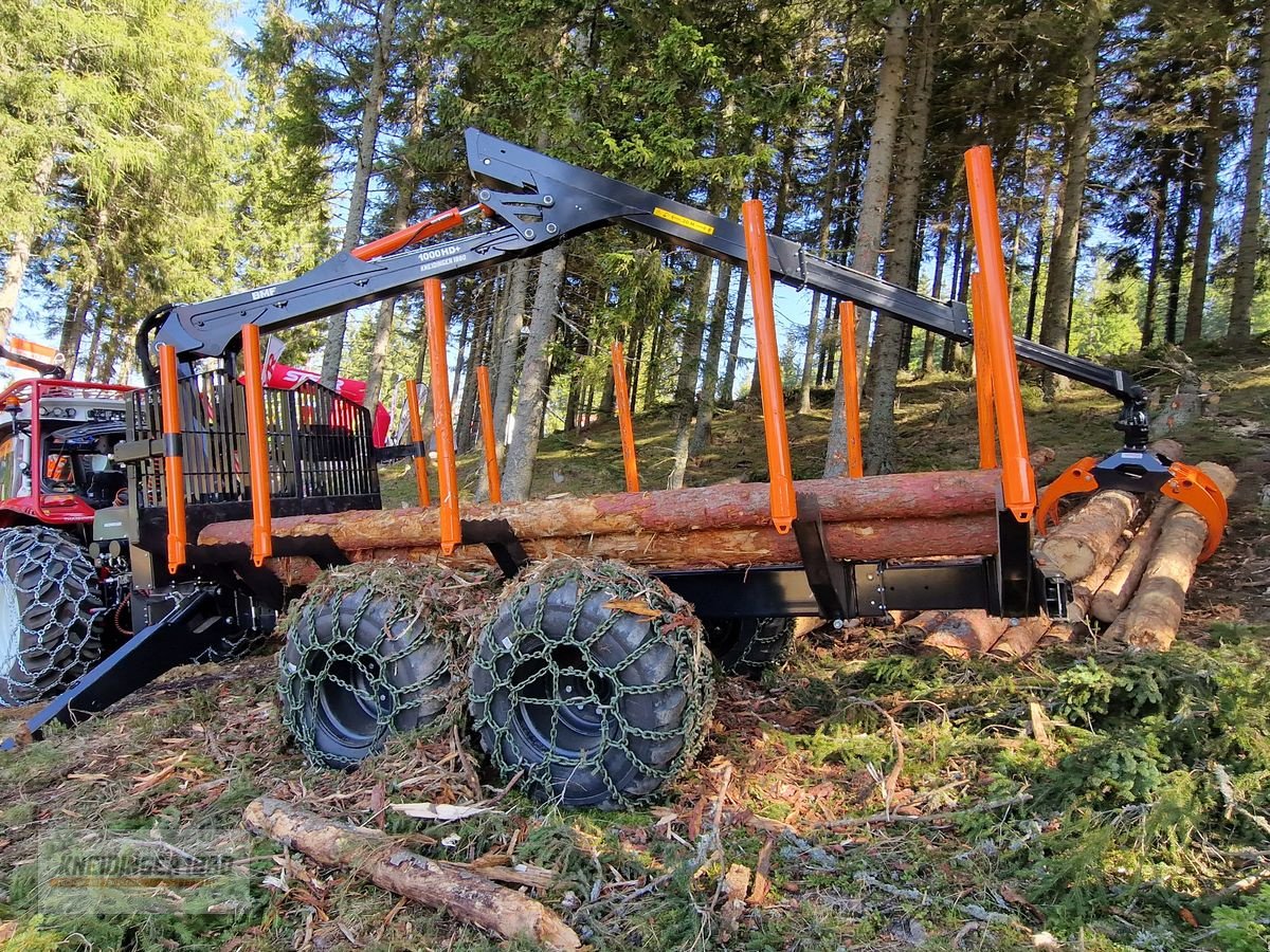 Rückewagen & Rückeanhänger typu BMF 18T1 Pro/ Kran 1000 HD, Vorführmaschine v Altenfelden (Obrázek 1)