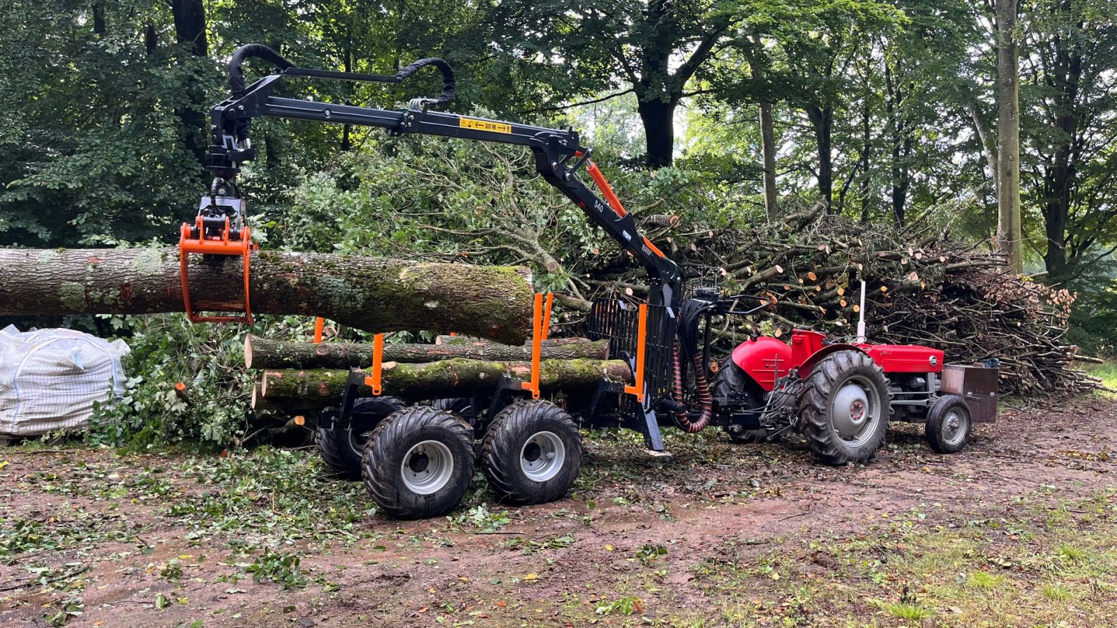 Rückewagen & Rückeanhänger типа BMF 5 t. skovvogn med 4,3 m kran, Gebrauchtmaschine в Fredericia (Фотография 2)
