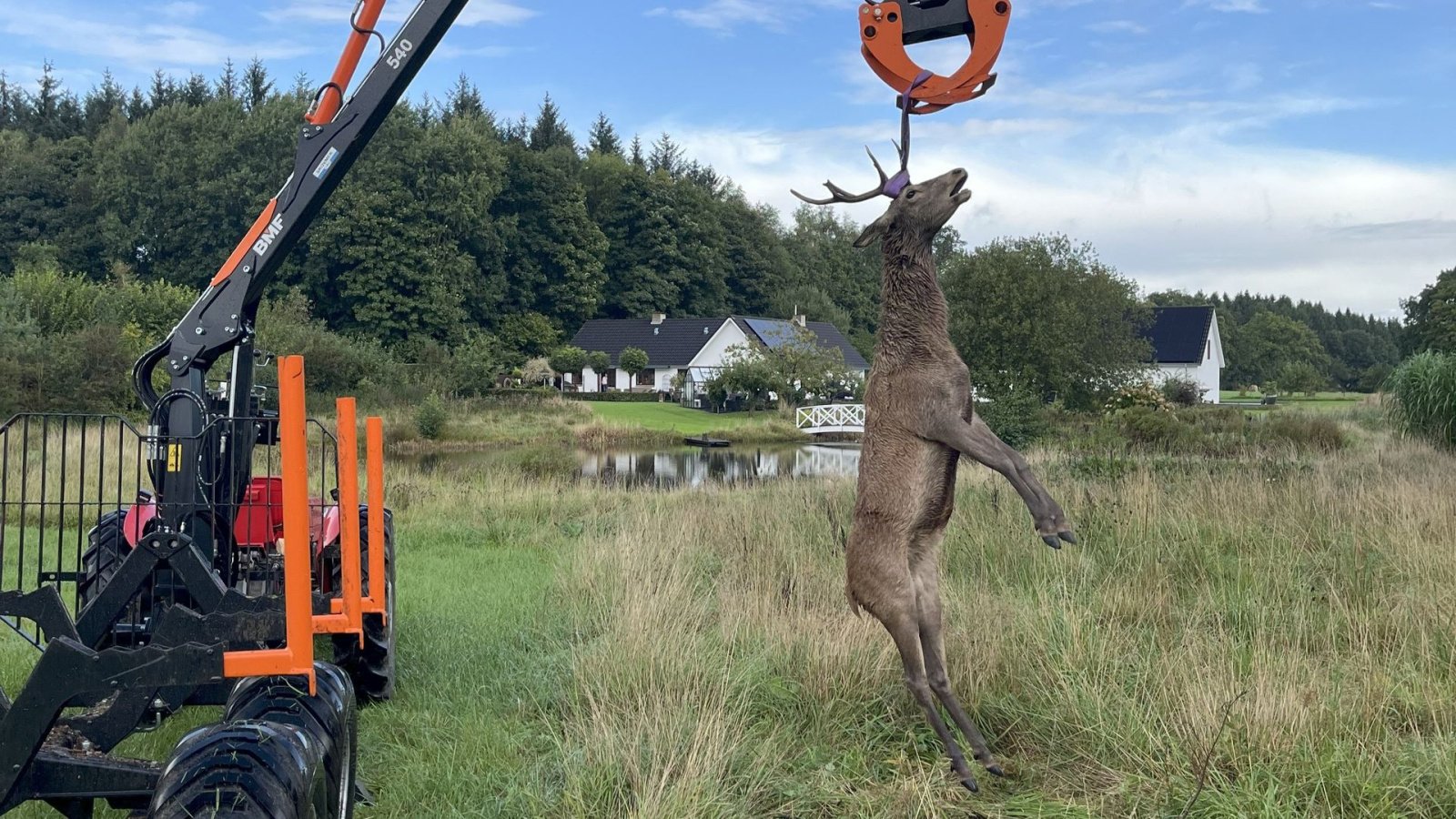 Rückewagen & Rückeanhänger типа BMF 5 t. skovvogn med 4,3 m kran, Gebrauchtmaschine в Fredericia (Фотография 5)