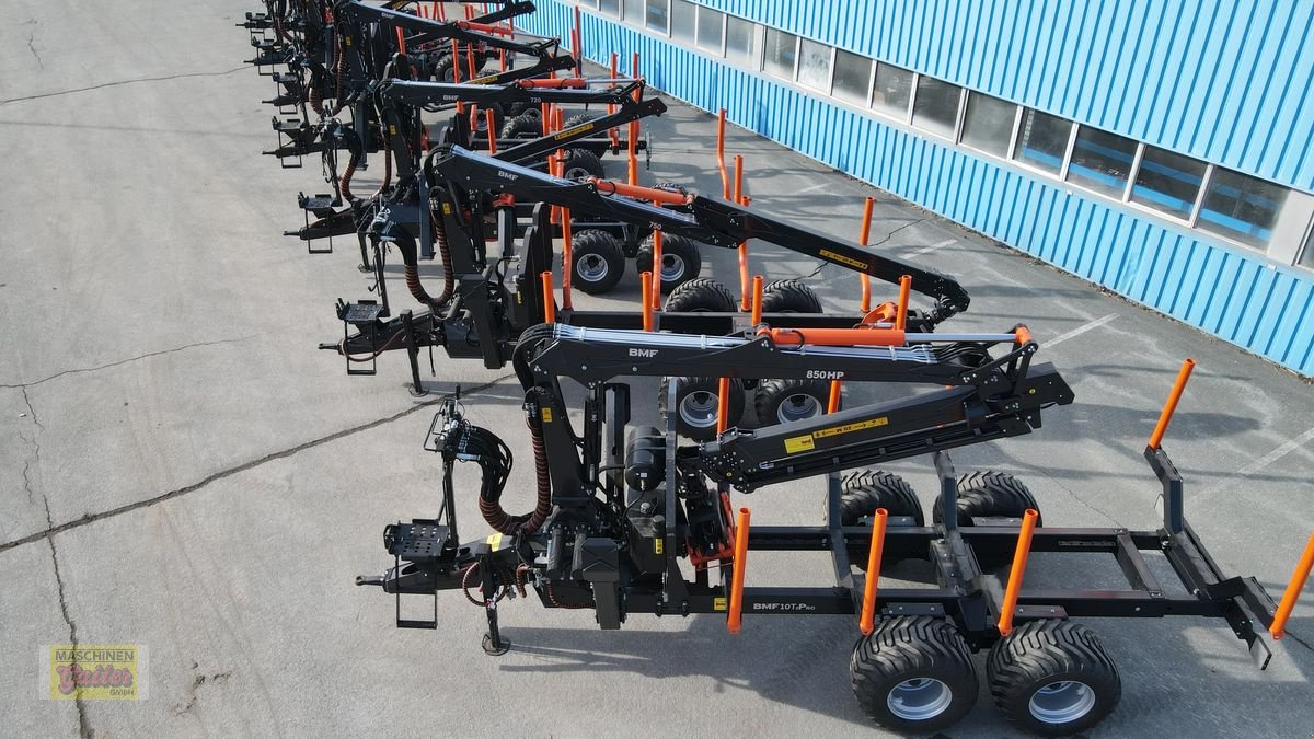 Rückewagen & Rückeanhänger des Typs BMF Forstanhänger 6-10 Tonnen Nutzlast, Neumaschine in Kötschach (Bild 14)