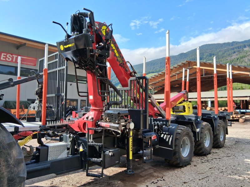 Rückewagen & Rückeanhänger del tipo Este AW30, Neumaschine In Kastelruth (Immagine 1)