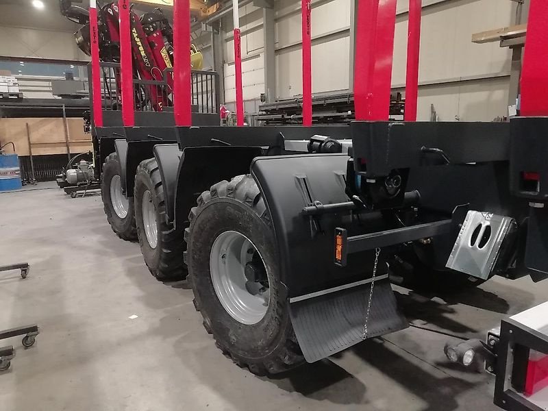 Rückewagen & Rückeanhänger des Typs Este AW30, Neumaschine in Kastelruth (Bild 14)