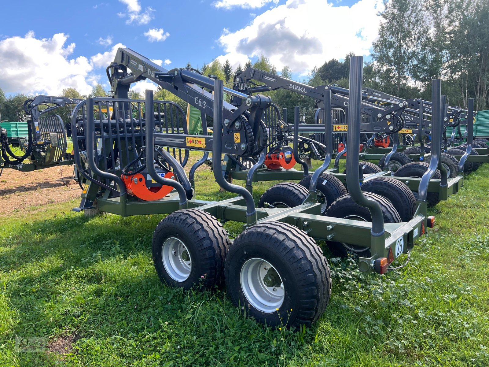 Rückewagen & Rückeanhänger typu Farma Rückewagen CT6,3-9, Neumaschine v Regen (Obrázek 3)