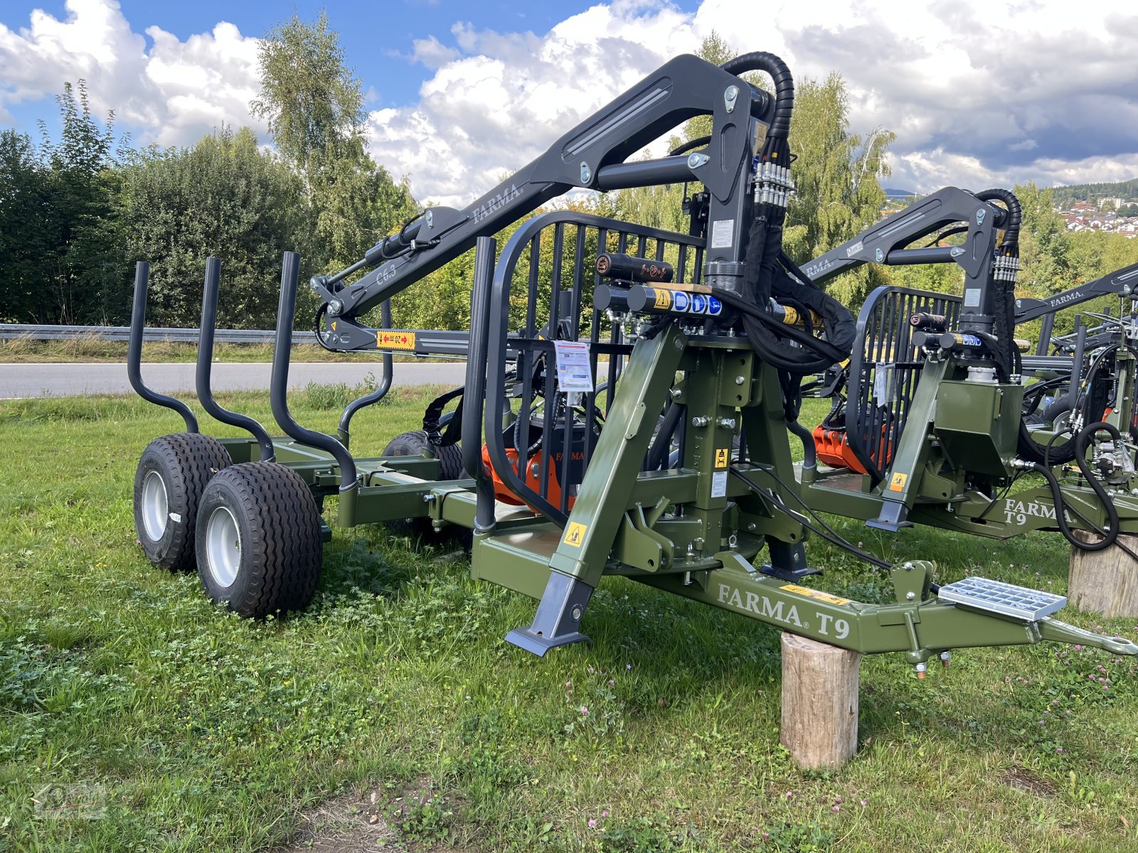 Rückewagen & Rückeanhänger des Typs Farma Rückewagen CT6,3-9, Neumaschine in Regen (Bild 1)