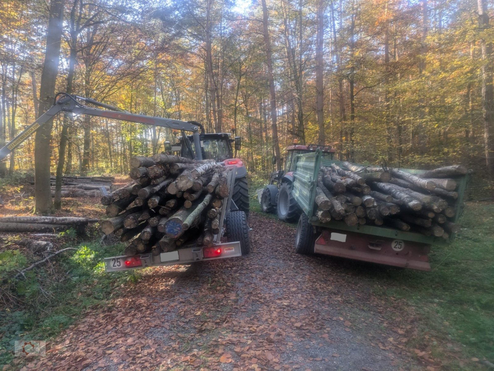 Rückewagen & Rückeanhänger Türe ait Forest-Master 5100 Rückewagen 6,6to Auflaufbremse, Gebrauchtmaschine içinde Tiefenbach (resim 7)