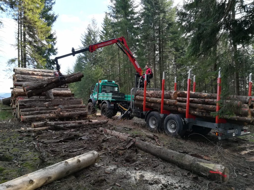 Rückewagen & Rückeanhänger des Typs Heinemann Holztransportanhänger, Neumaschine in Meschede (Bild 10)