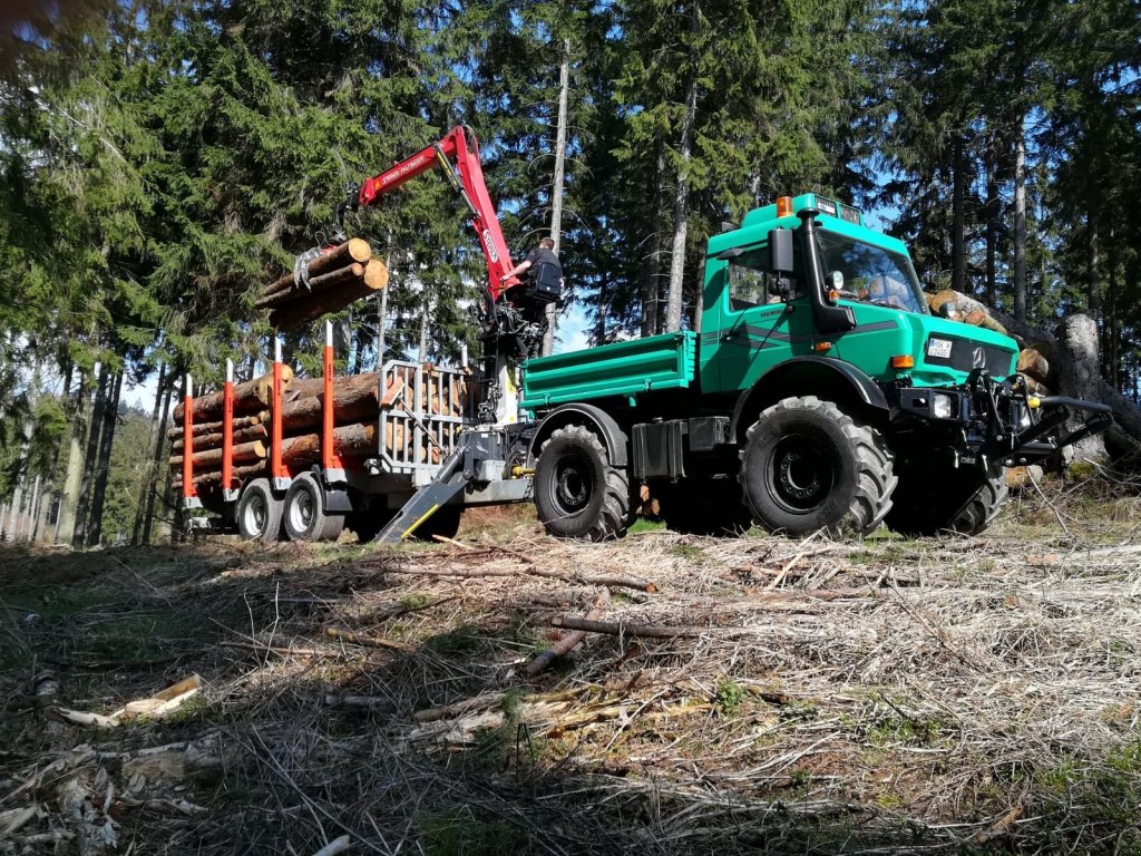 Rückewagen & Rückeanhänger des Typs Heinemann Holztransportanhänger, Neumaschine in Meschede (Bild 4)