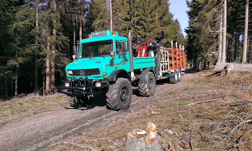 Rückewagen & Rückeanhänger des Typs Heinemann Holztransportanhänger, Neumaschine in Meschede (Bild 5)