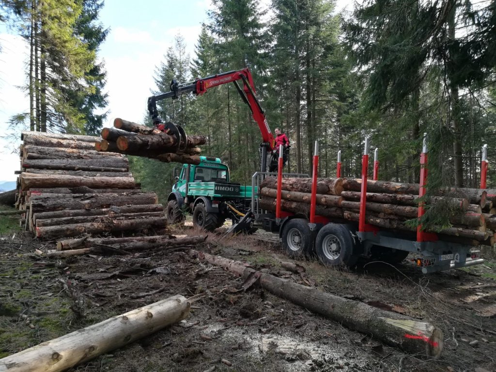 Rückewagen & Rückeanhänger des Typs Heinemann Holztransportanhänger, Neumaschine in Meschede (Bild 8)