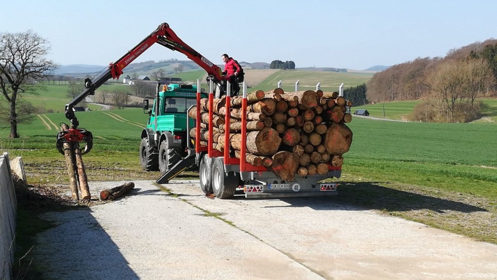 Rückewagen & Rückeanhänger des Typs Heinemann Holztransportanhänger, Neumaschine in Meschede (Bild 3)