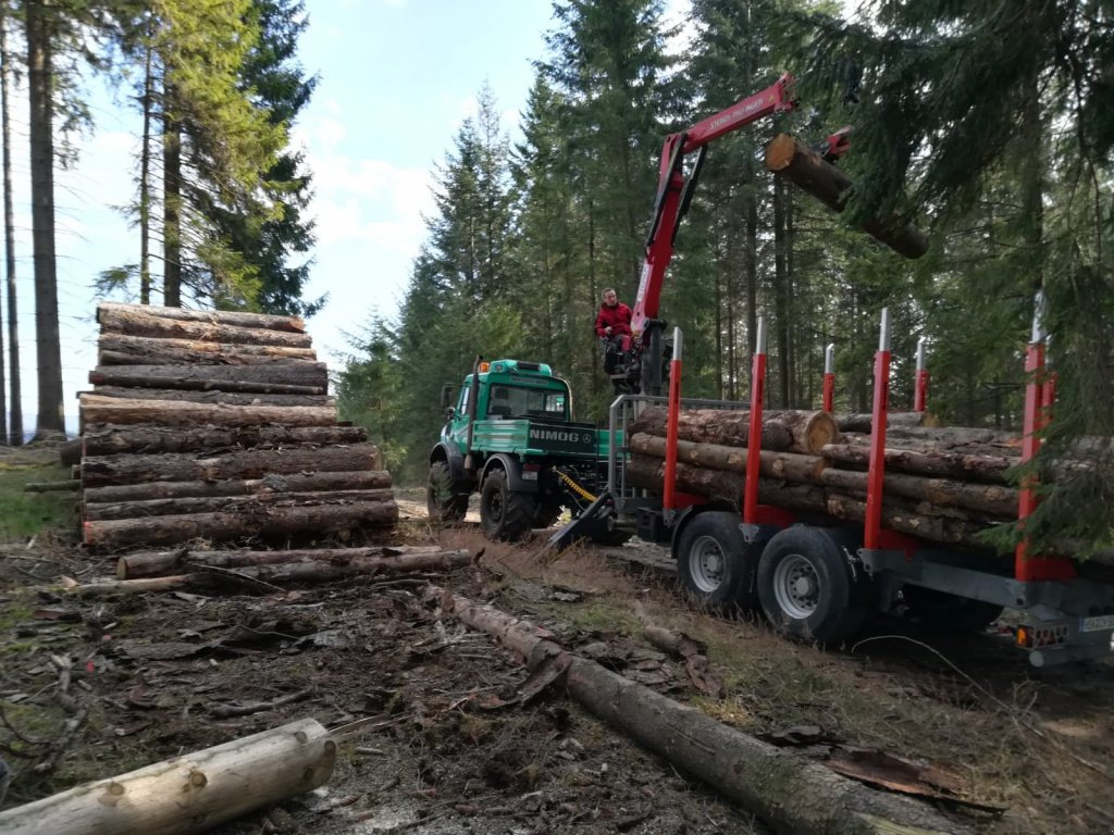 Rückewagen & Rückeanhänger des Typs Heinemann Holztransportanhänger, Neumaschine in Meschede (Bild 9)