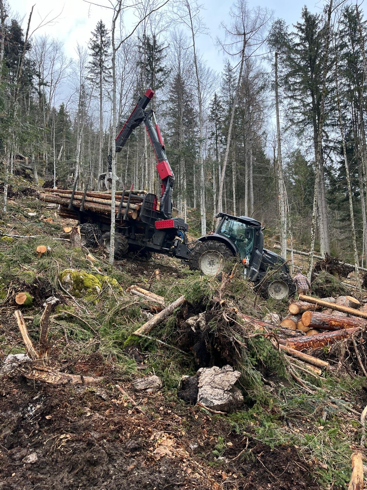 Rückewagen & Rückeanhänger typu John Deere Rückewagen RW11, Gebrauchtmaschine v Grundlsee (Obrázek 2)