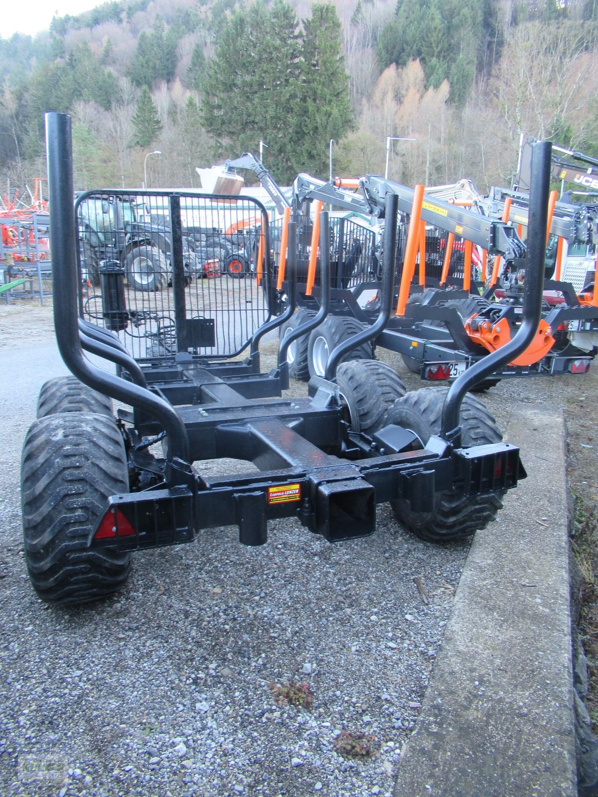 Rückewagen & Rückeanhänger des Typs Kesla 10 H, Gebrauchtmaschine in Kaumberg (Bild 3)
