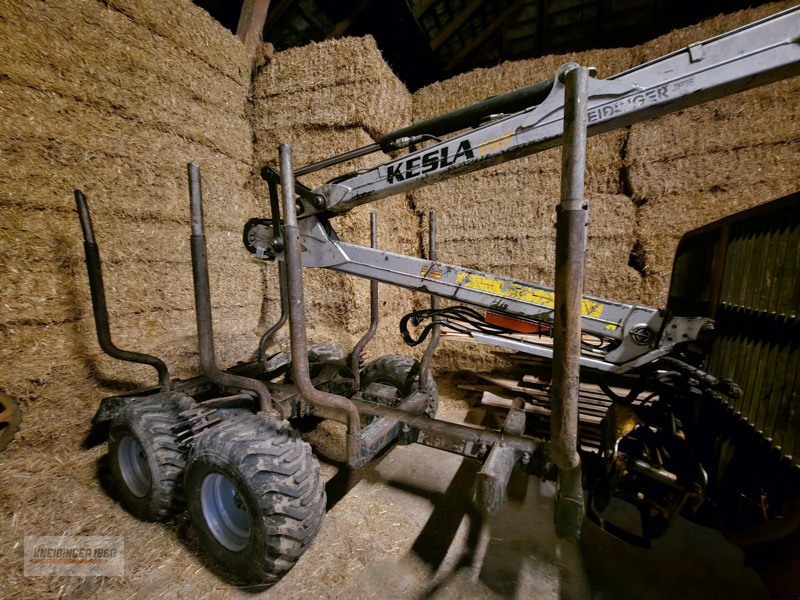 Rückewagen & Rückeanhänger del tipo Kesla 204T, Gebrauchtmaschine en Altenfelden (Imagen 7)