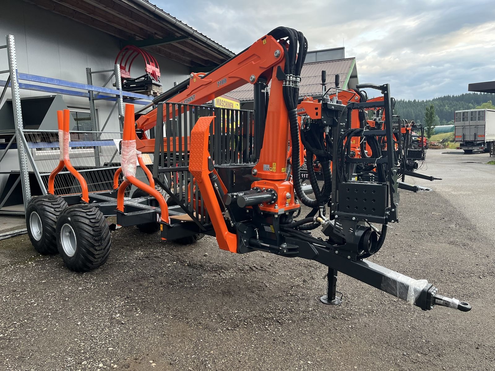 Rückewagen & Rückeanhänger του τύπου MTM 10TX S60 mit MTM 7100 Kran, Neumaschine σε Bad Leonfelden (Φωτογραφία 8)