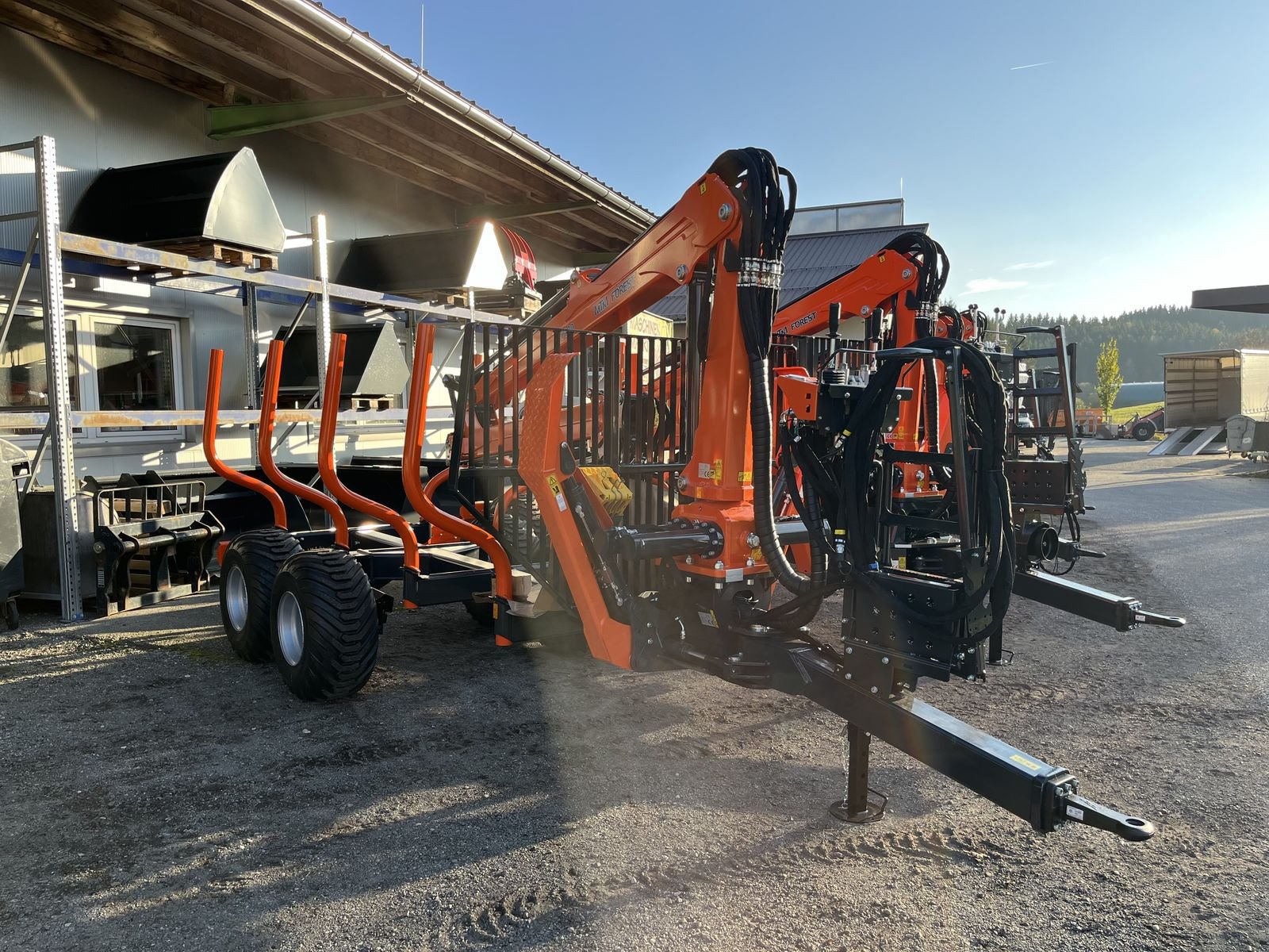 Rückewagen & Rückeanhänger des Typs MTM Rückewagen 10-17 Tonnen, MTM 6,6m-9m Forstkran, Gebrauchtmaschine in Bad Leonfelden (Bild 4)