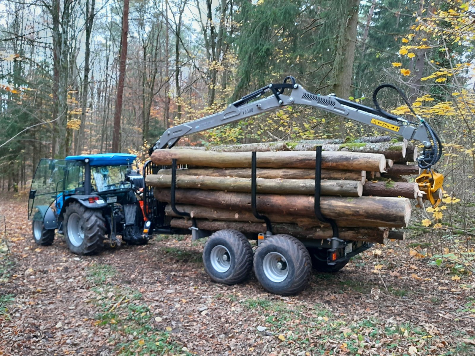 Rückewagen & Rückeanhänger typu Multiforest MF650-950, Neumaschine w Happurg - Föhrenbach (Zdjęcie 3)
