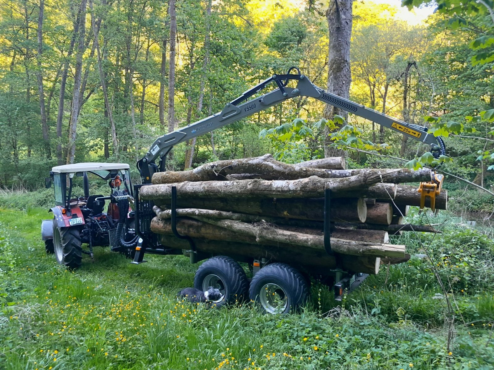 Rückewagen & Rückeanhänger a típus Multiforest MF850/MF950, Neumaschine ekkor: Happurg - Föhrenbach (Kép 1)
