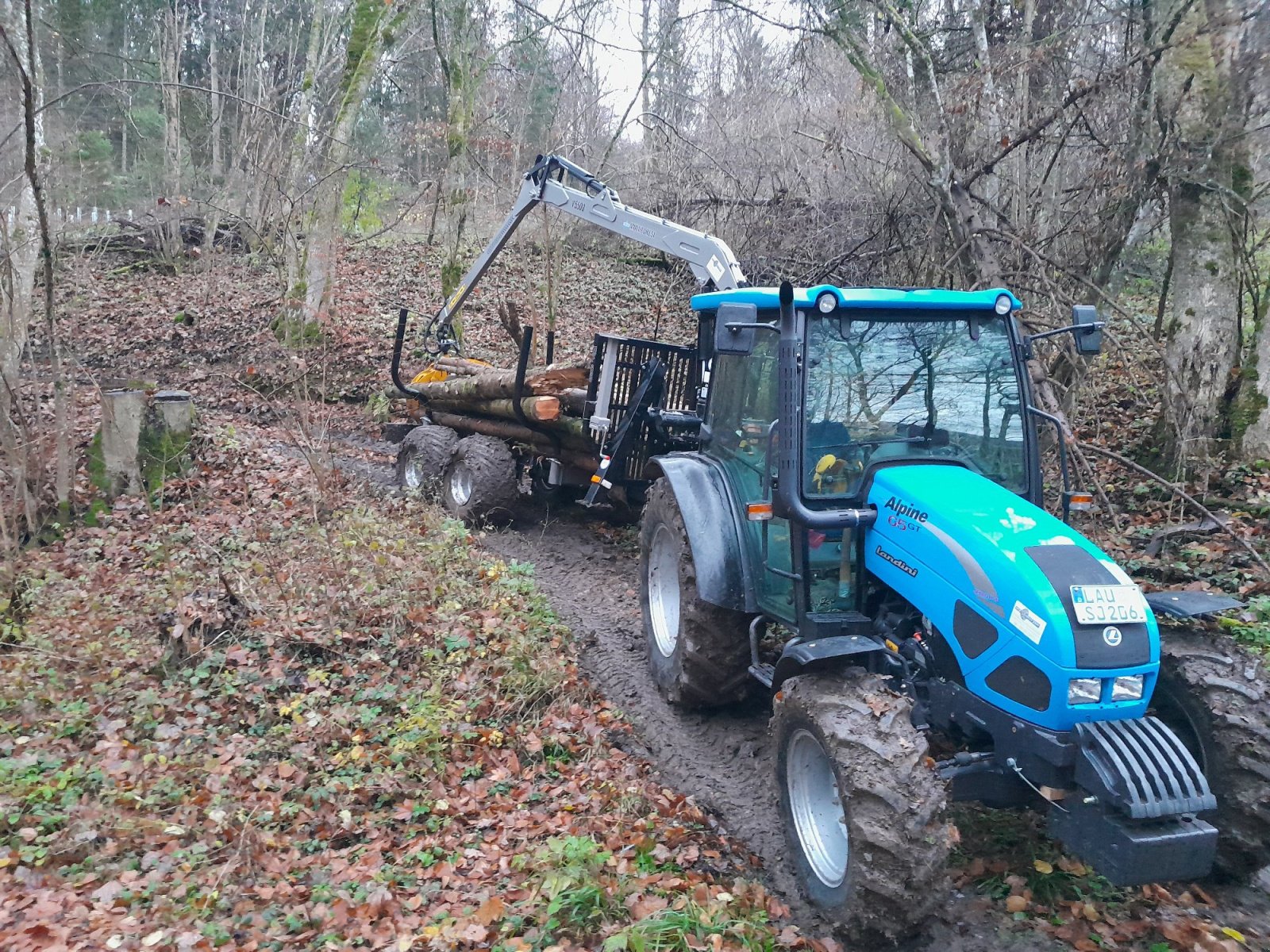 Rückewagen & Rückeanhänger a típus Multiforest MF850/MF950, Neumaschine ekkor: Happurg - Föhrenbach (Kép 4)