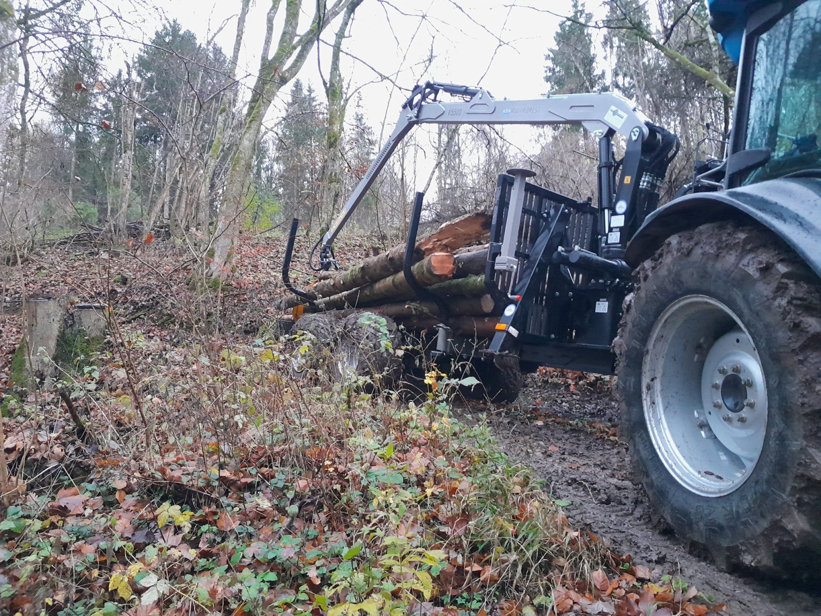 Rückewagen & Rückeanhänger a típus Multiforest MF850/MF950, Neumaschine ekkor: Happurg - Föhrenbach (Kép 5)