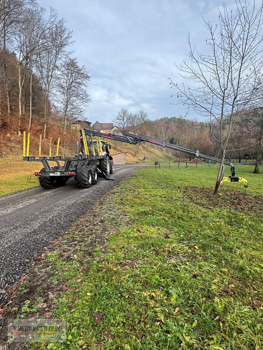 Rückewagen & Rückeanhänger tip Palms X100, Gebrauchtmaschine in Altenfelden (Poză 4)
