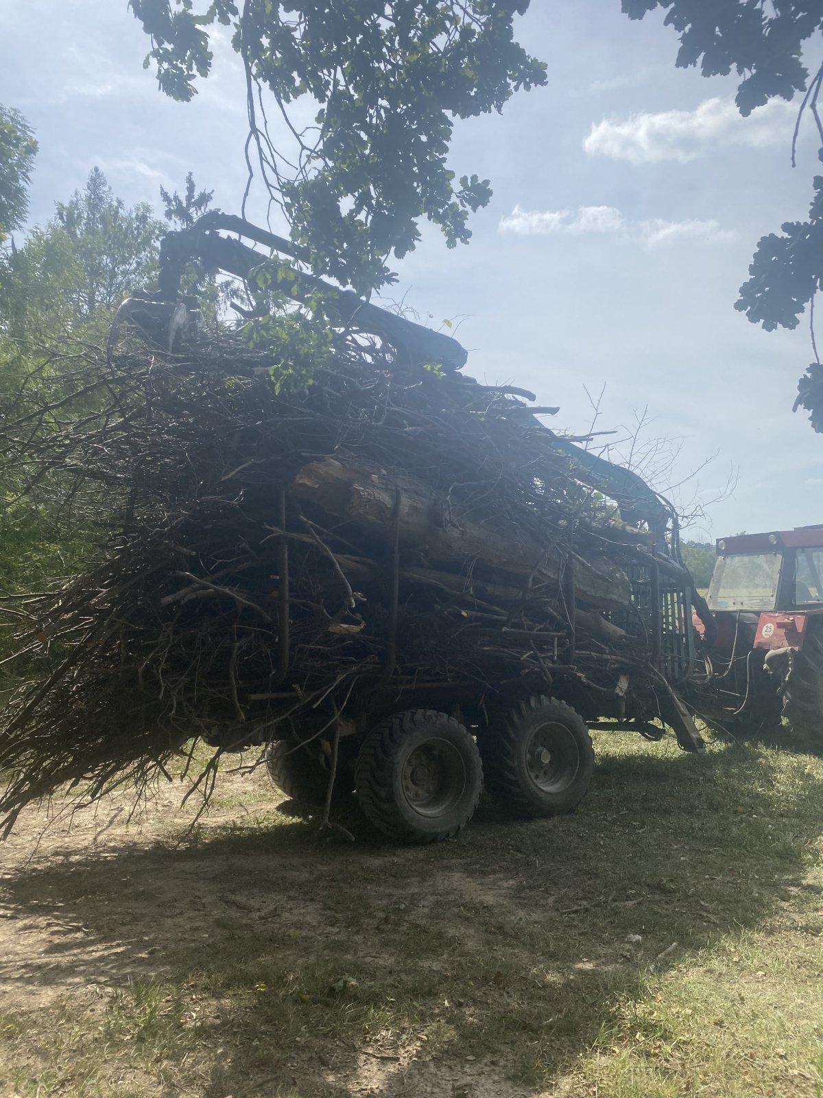 Rückewagen & Rückeanhänger tipa Pfanzelt P15, Gebrauchtmaschine u Dlouhá Třebová (Slika 1)