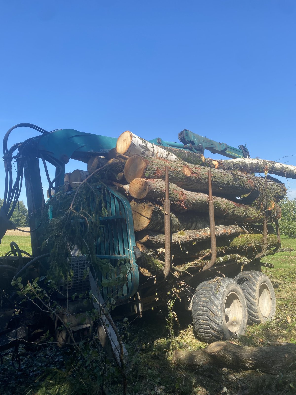 Rückewagen & Rückeanhänger tipa Pfanzelt P15, Gebrauchtmaschine u Dlouhá Třebová (Slika 2)