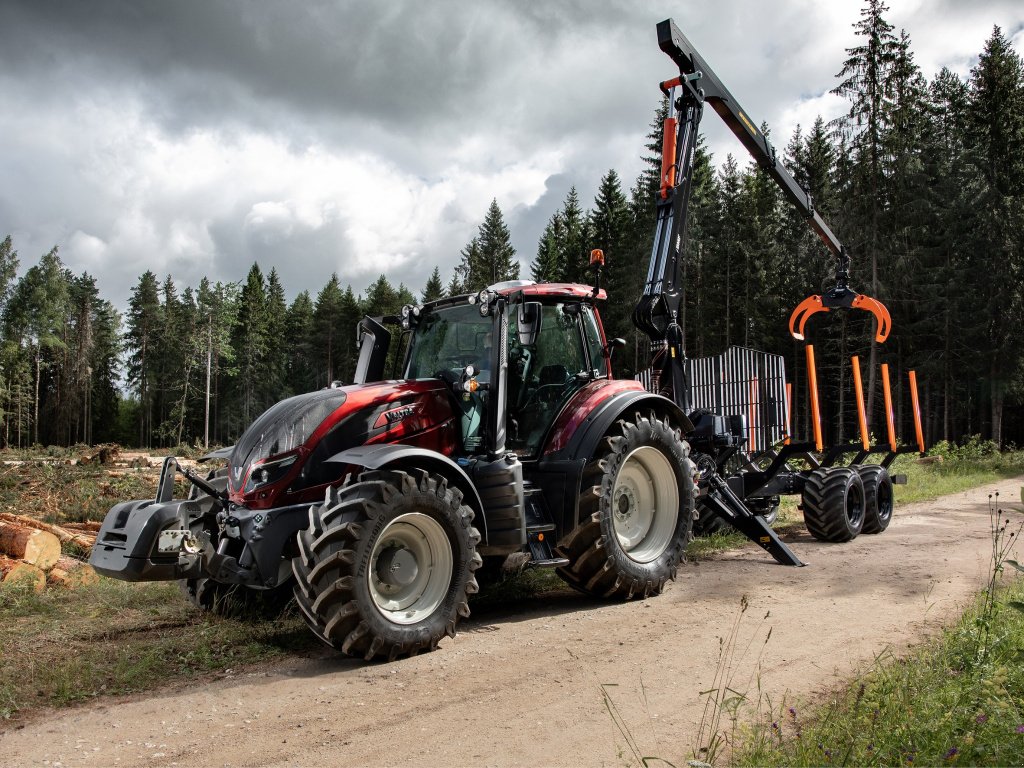 Rückewagen & Rückeanhänger des Typs Reil & Eichinger BMF 18T1/1000 PRO, Neumaschine in Nittenau (Bild 8)