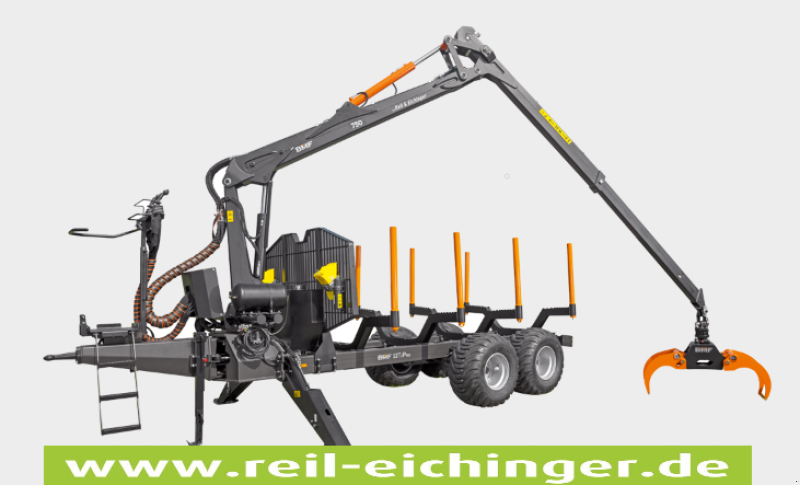 Rückewagen & Rückeanhänger des Typs Reil & Eichinger Rückewagen Reil & Eichinger BMF 12T2/750 Mietpark -jetzt mieten-, Mietmaschine in Nittenau (Bild 1)