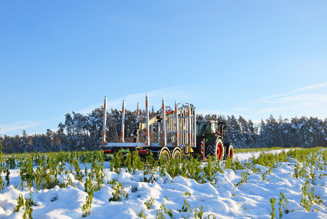 Rückewagen & Rückeanhänger des Typs Reil & Eichinger Tandem Kurzholzanhänger WTR 21/905, Neumaschine in Nittenau (Bild 12)