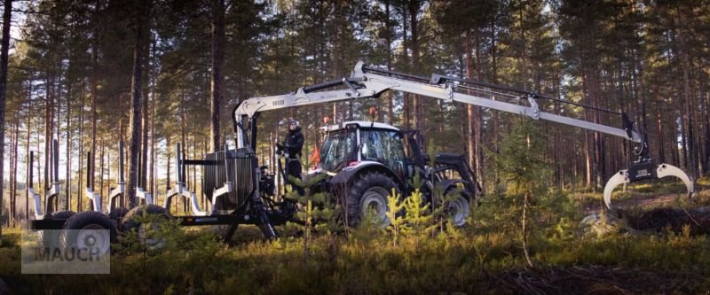 Rückewagen & Rückeanhänger типа Trejon MF1202 TEC V8400, Neumaschine в Burgkirchen (Фотография 1)