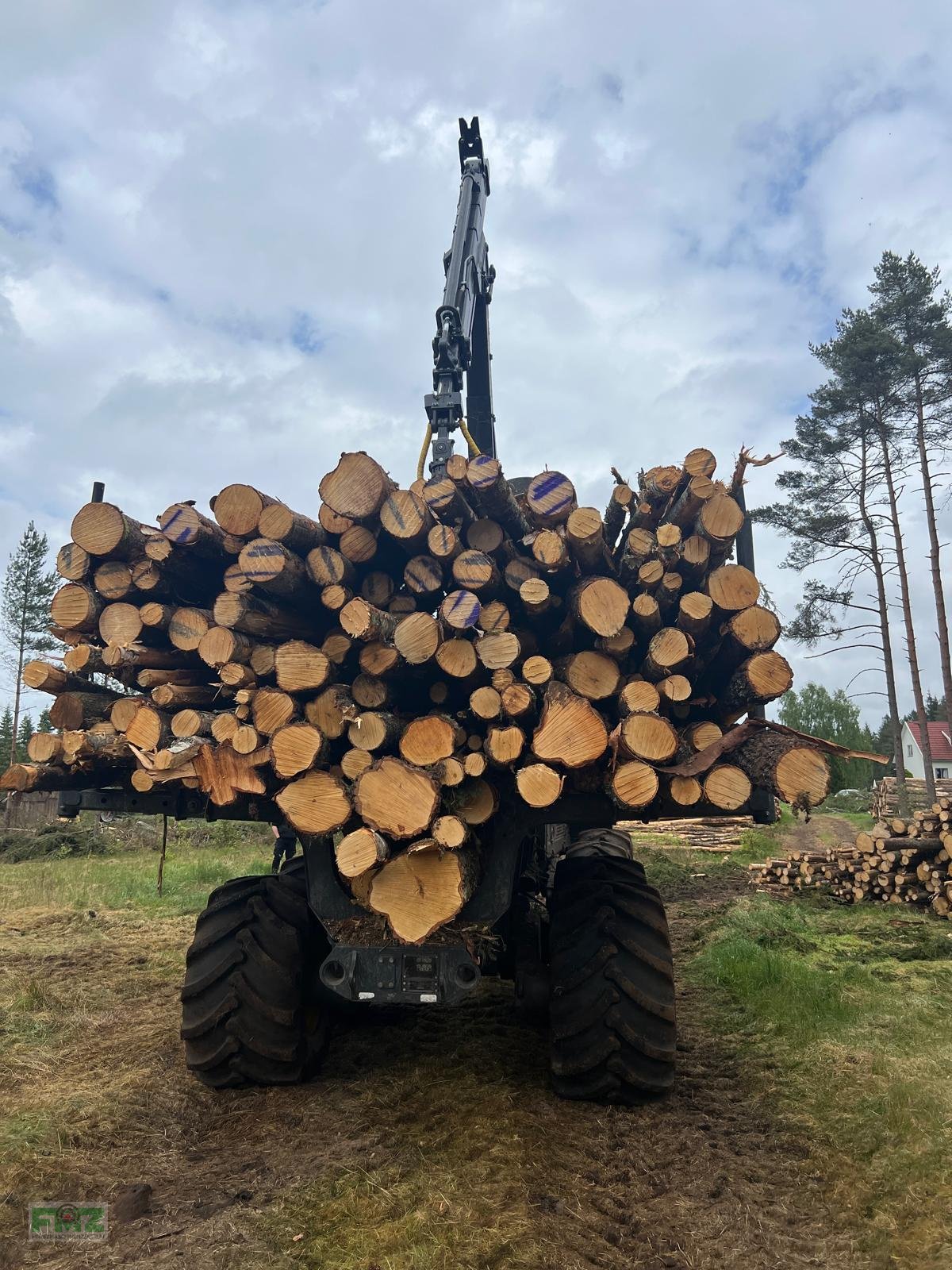 Rückezug του τύπου Ponsse Buffalo, Gebrauchtmaschine σε Leinburg (Φωτογραφία 7)