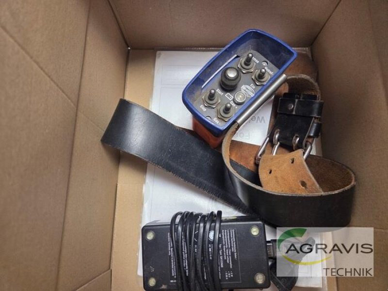 Rückezug a típus Ritter S 27 DYEE, Gebrauchtmaschine ekkor: Calbe / Saale (Kép 7)