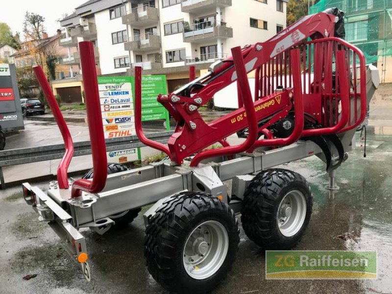 Rückezug Türe ait Schlang & Reichart Rückewagen Typ SR 950, Gebrauchtmaschine içinde Bühl (resim 7)