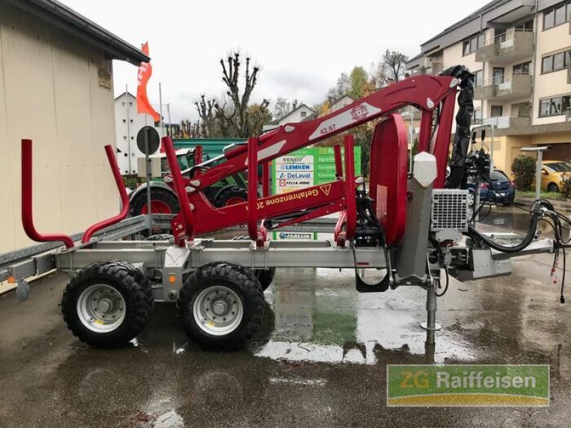 Rückezug del tipo Schlang & Reichart Rückewagen, Gebrauchtmaschine en Bühl (Imagen 6)