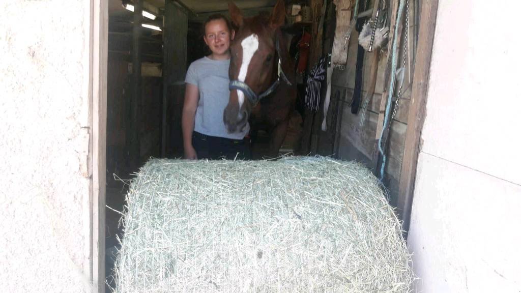 Rundballenpresse des Typs Criap Midi Baler 85, Neumaschine in Baumgarten (Bild 8)