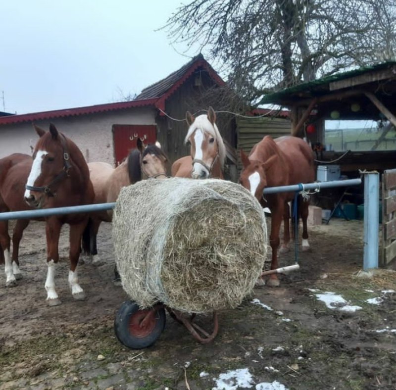Rundballenpresse des Typs Criap Solo Rundballen Presse, Neumaschine in Baumgarten (Bild 17)