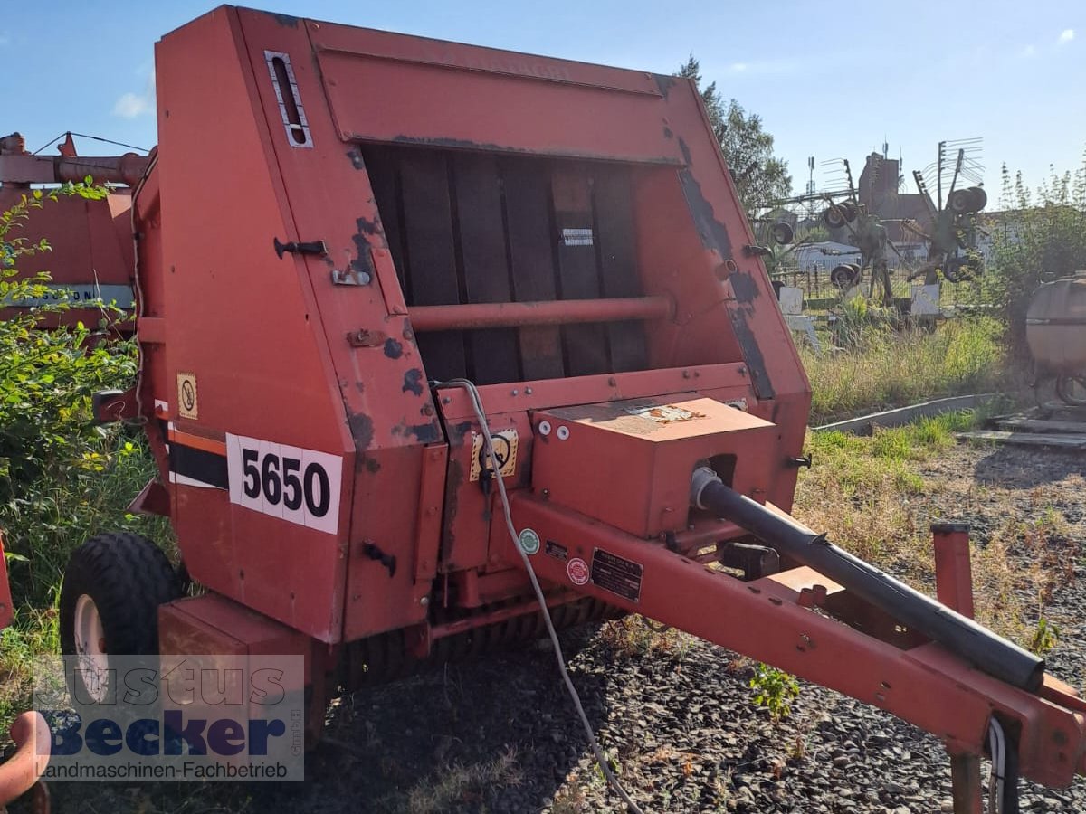 Rundballenpresse des Typs Fiat 5650, Gebrauchtmaschine in Weimar-Niederwalgern (Bild 6)