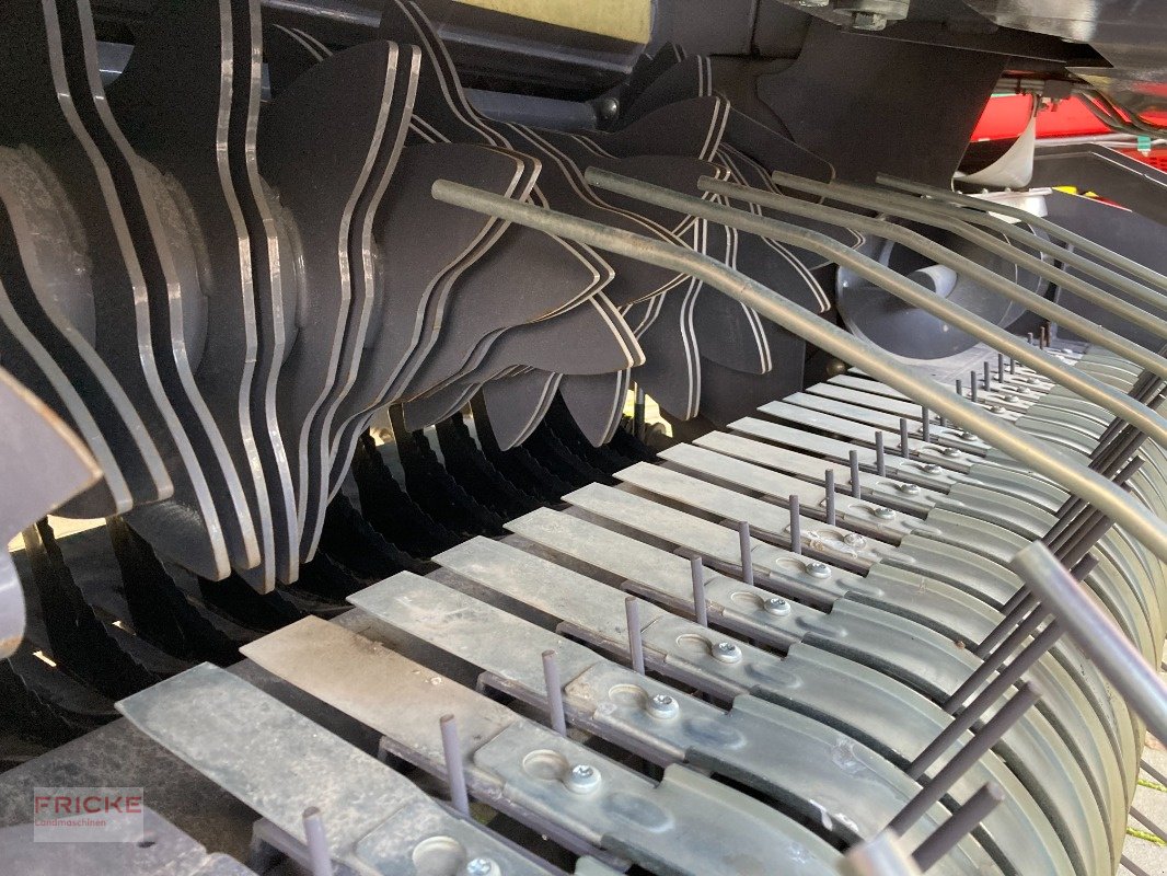 Rundballenpresse del tipo Maschio Mondiale 120 Combi, Neumaschine In Bockel - Gyhum (Immagine 3)