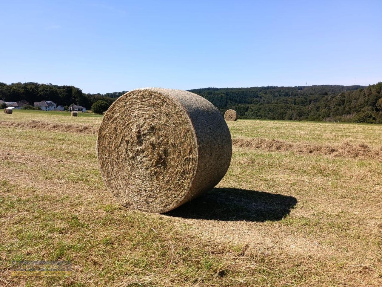 Rundballenpresse des Typs New Holland PRO-BELT 190 RC 25K, Neumaschine in Rhaunen (Bild 3)