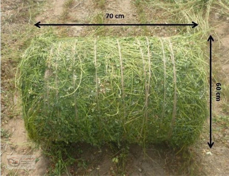 Rundballenpresse Türe ait Sonstige Boxer RBP7060 Ballenpresse Vorführmaschine, Vorführmaschine içinde Dimbach (resim 6)