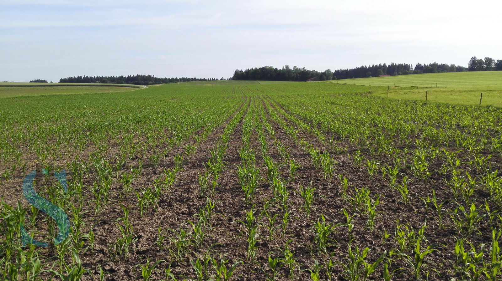 Saatbettkombination of the type Junkkari D 300, Neumaschine in Dietramszell (Picture 18)