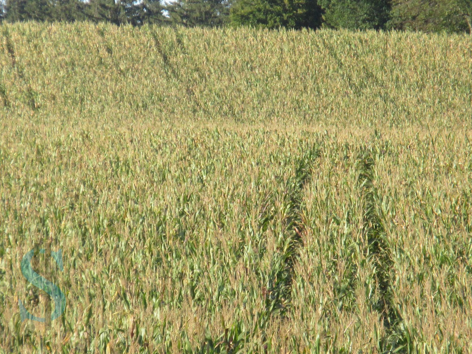 Saatbettkombination of the type Junkkari D 300, Neumaschine in Dietramszell (Picture 19)