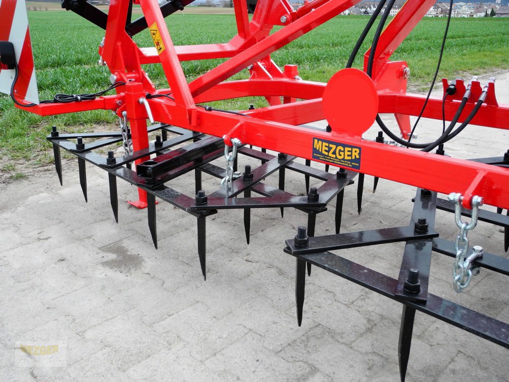 Saatbettkombination of the type Sonstige AX 56 Ackeregge, Spitzzahnegge, Neumaschine in Ditzingen (Picture 11)