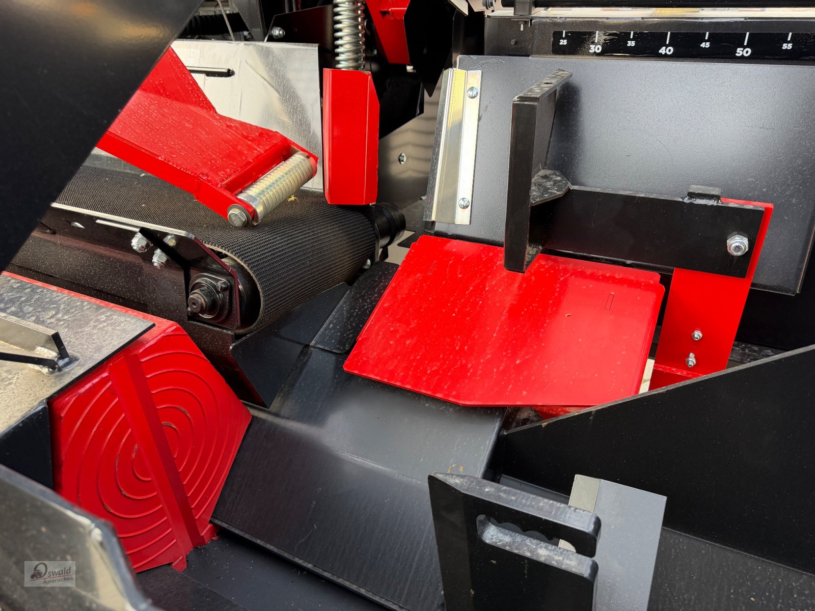 Sägeautomat & Spaltautomat του τύπου Palax Kreissäge C1000 PRO, Neumaschine σε Regen (Φωτογραφία 8)