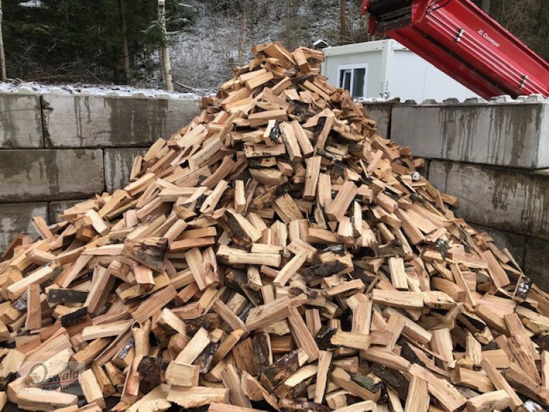Sägeautomat & Spaltautomat des Typs Palax X 90, Neumaschine in Regen (Bild 5)