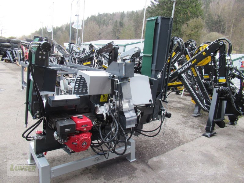 Sägeautomat & Spaltautomat typu Sonstige Schneidspalter mit Förderband PLD 480/30, Neumaschine v Kaumberg (Obrázek 1)